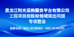 黑龙江交易集团工程项目招投标领域突出问题专项整治